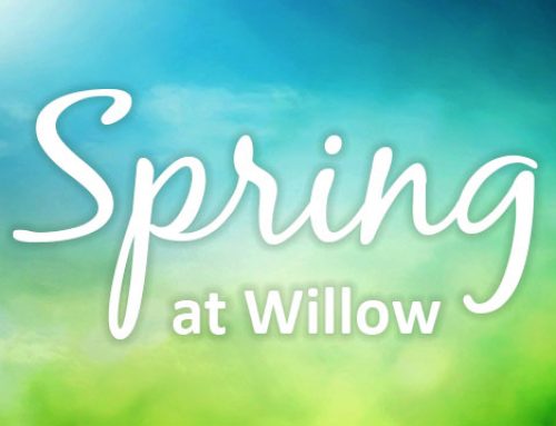 Spring at Willow Exhibitions