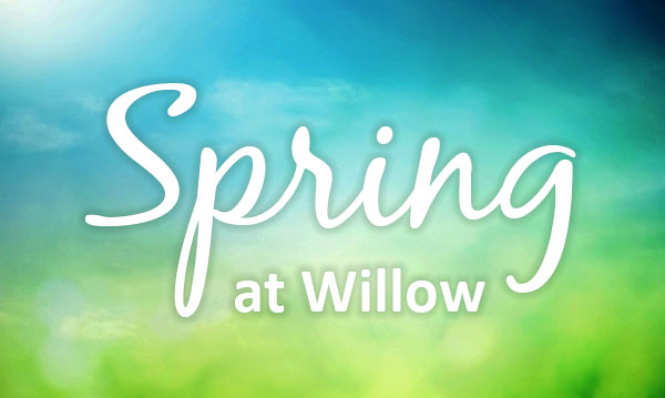 spring-at-willow